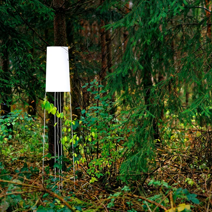 Slimsophie floor lamp by frauMaier