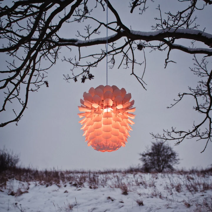 Zappy Pendant Lamp by Schneid