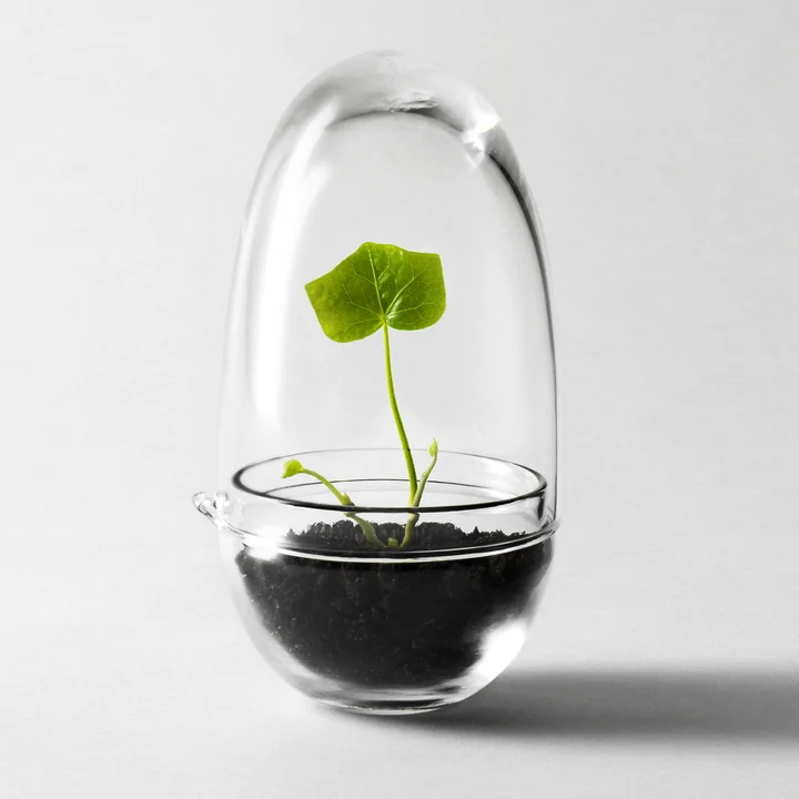 Grow Greenhouse from Design House Stockholm