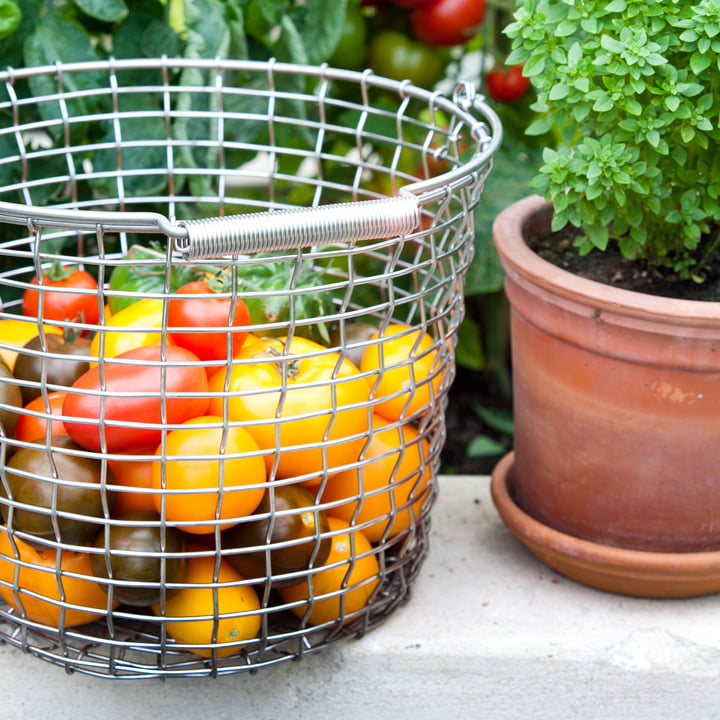 Korbo - Bucket 24, Ambience image, Tomatoes in basket