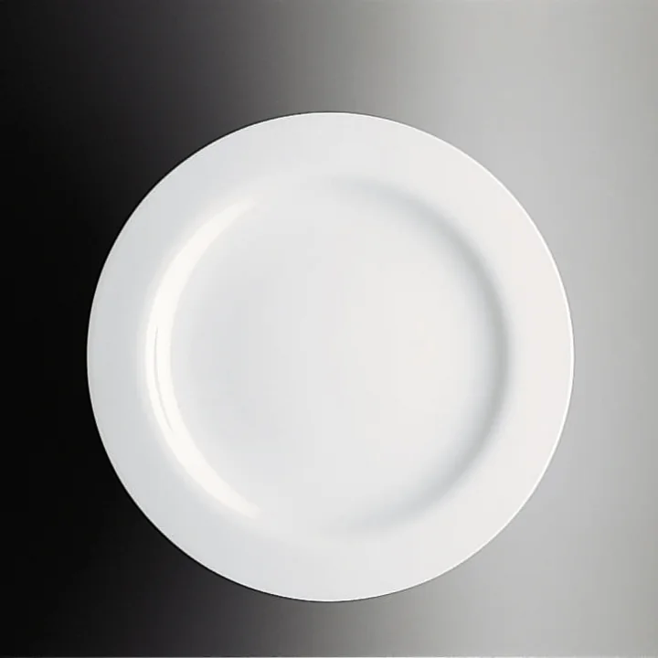 The puristic, appealing Moon dinner plate from Rosenthal
