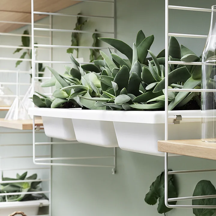 String - Storage insert