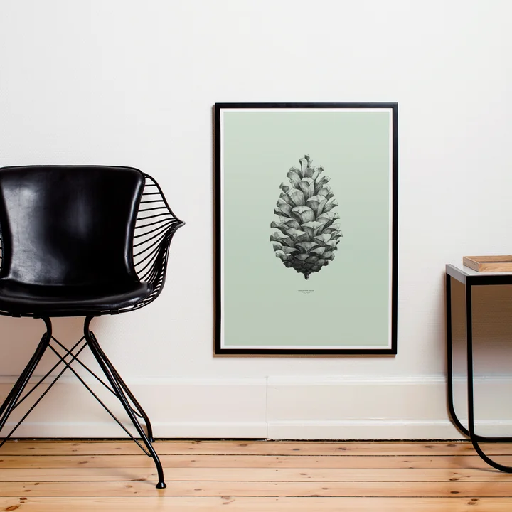 Paper Collective - Poster Nature 1:1 Pine Cone (green)