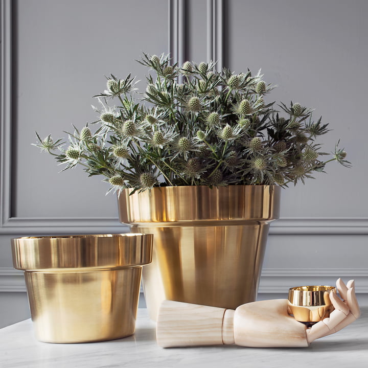 Skultuna - Flower Pots brass polished, small and medium with flowers.