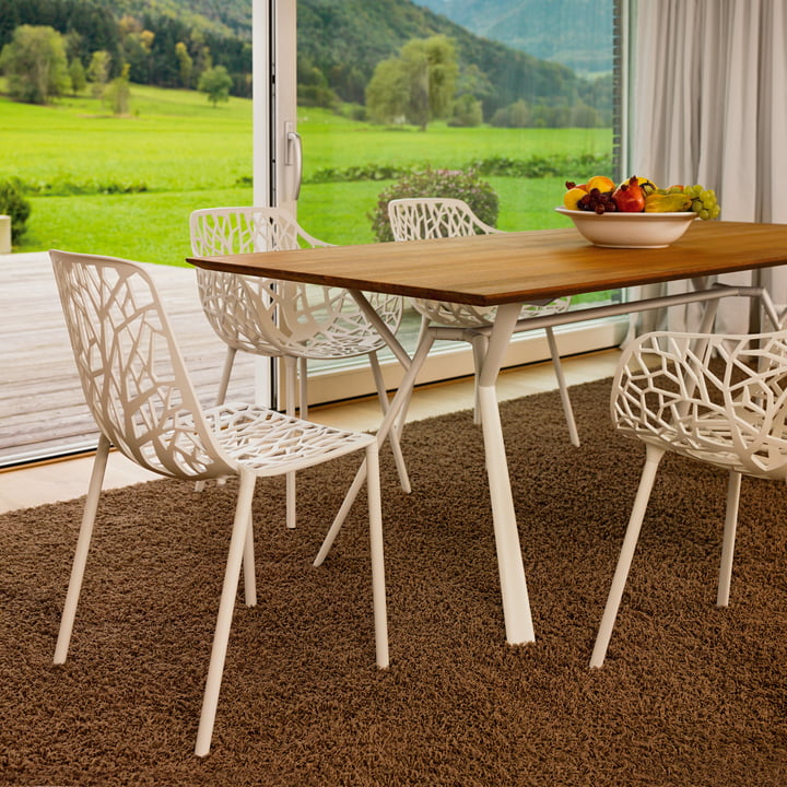 Stylish dining table with teak table top