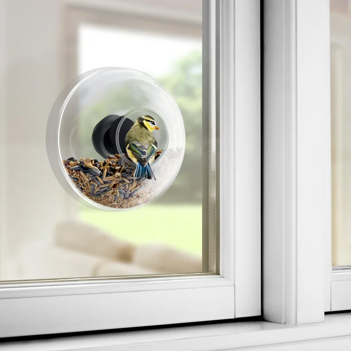 Nature directly outside your window