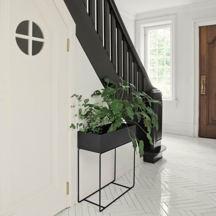 Plant Box from ferm Living in black