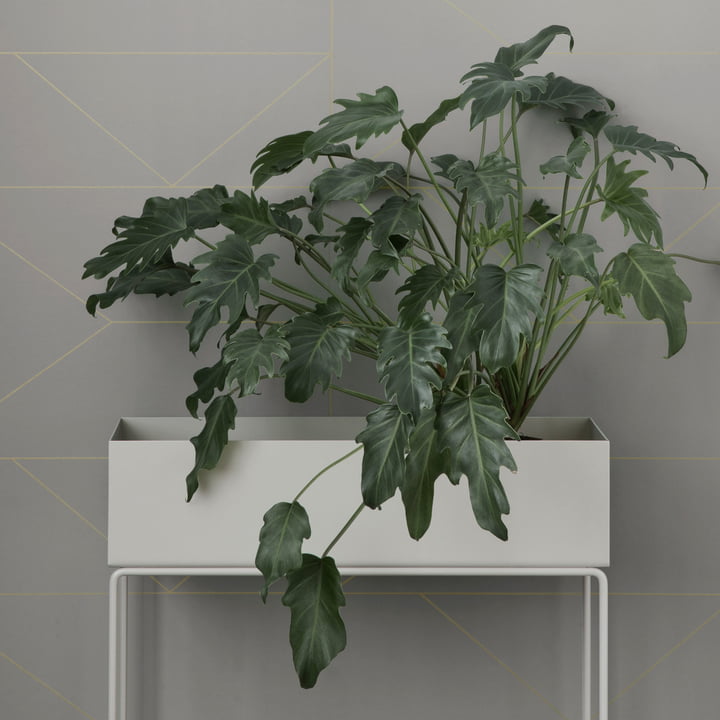Plant Box by ferm Living in White