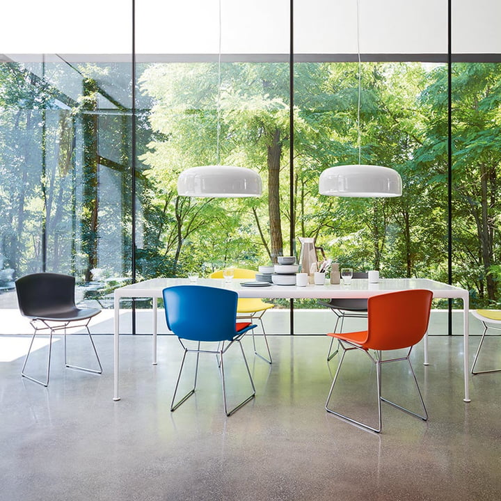 Knoll - Bertoia Plastic chair