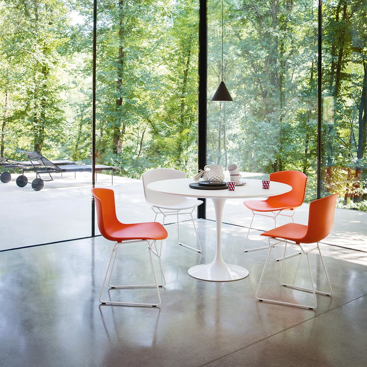 Knoll - Bertoia Plastic chair