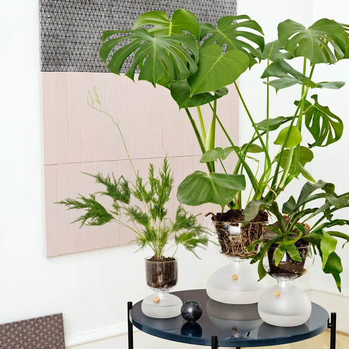 Personification of the Earth as greenhouse