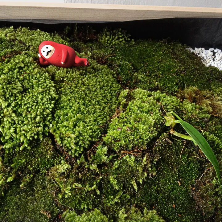 The Greenhouse Terrarium from Design House Stockholm