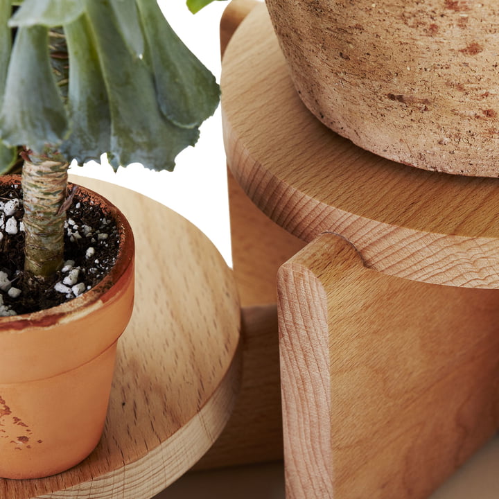 The plant pedestal set of Areaware with natural wood grain