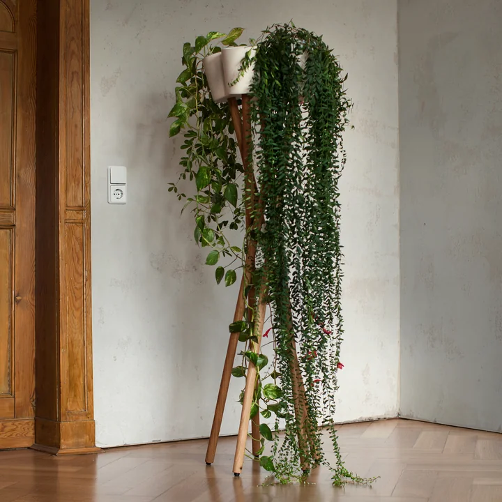 The high garden of urbanature in oak with white planter