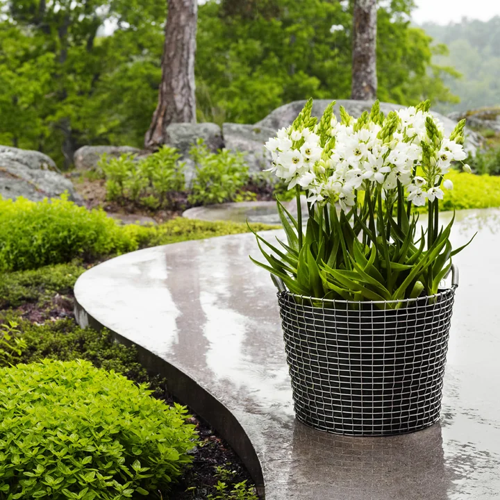 Classic 50 Wire Basket and Plant Bag by Korbo