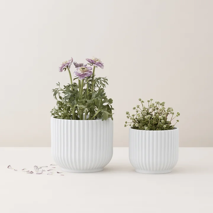 Flower Pot by Lyngby Porcelæn