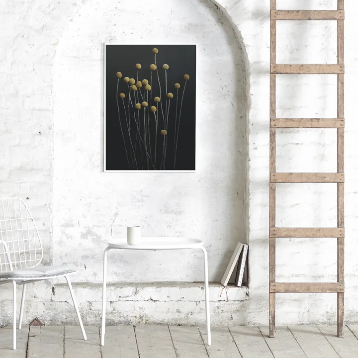 Paper Collective - Still Life 01