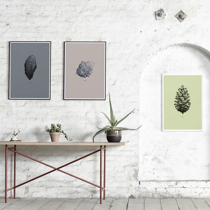 Paper Collective - 1:1 Oyster (dark grey) / Nature 1:1 Pine Cone (light green) / 1:1 Hailstone (everest grey)