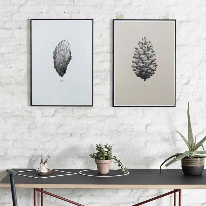 Poster Nature 1:1 by Paper Collective