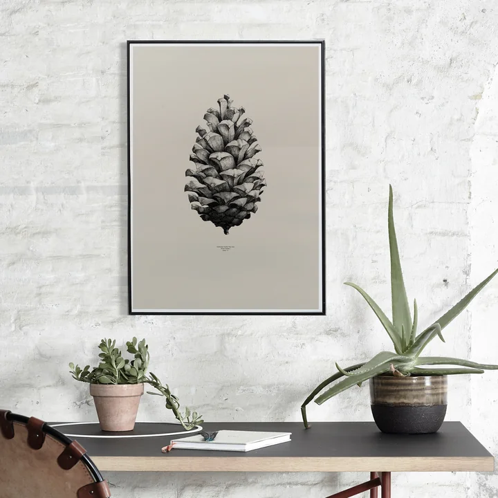 Paper Collective - Nature 1:1 Pine Cone (sand)