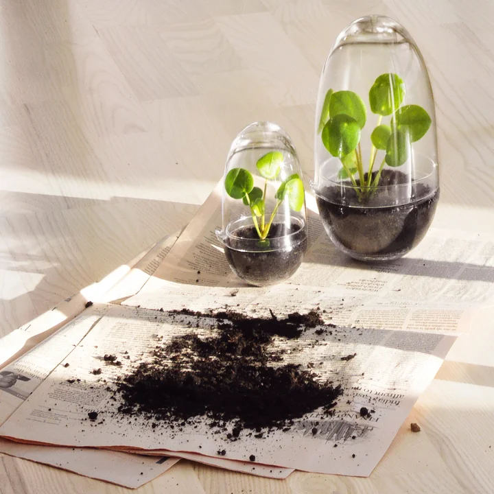 Grow Greenhouse from Design House Stockholm