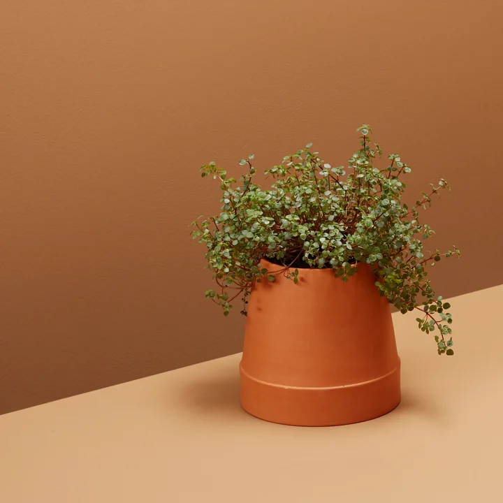 The upside down flower pot by Boskke