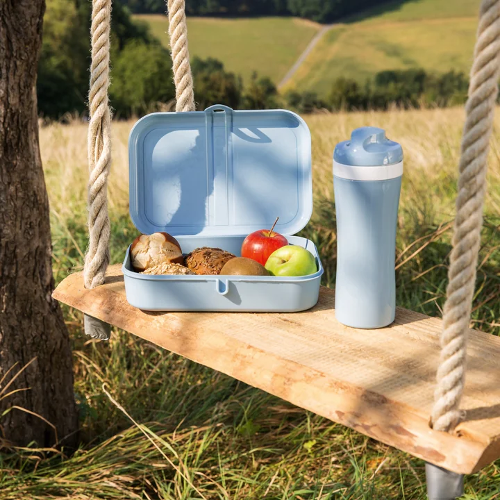 Lunch box for picnic and on the road
