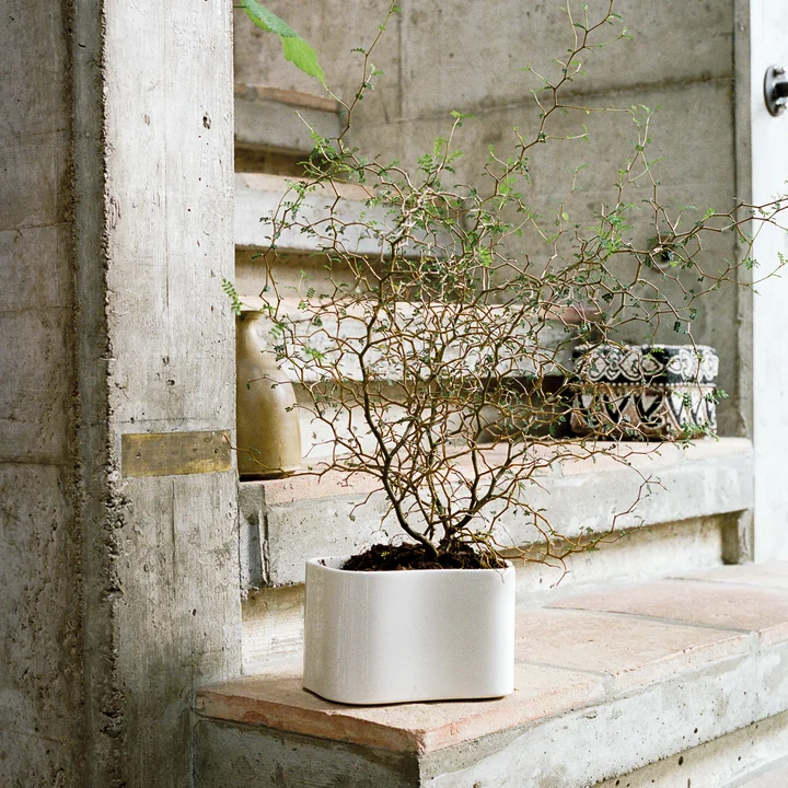 Riihitie planter by Artek