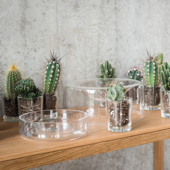 Jar Glass Bowl by Schönbuch