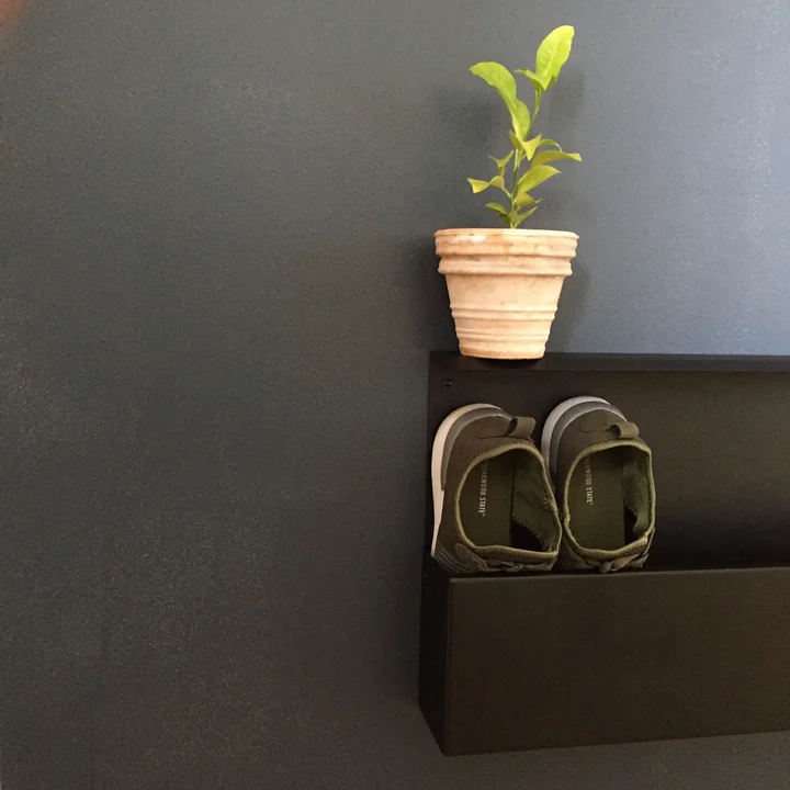 The Nichba design - Shoe Box Decorated with a Plant