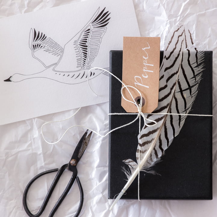 Wrapping Gift for Fathers