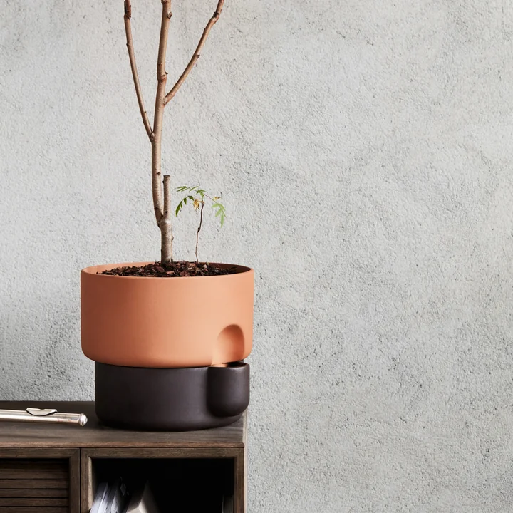 The Northern - Oasis Plant pot
