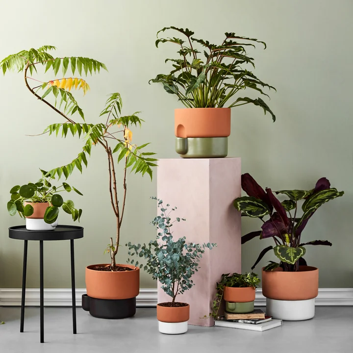 The Northern - Oasis Plant pot