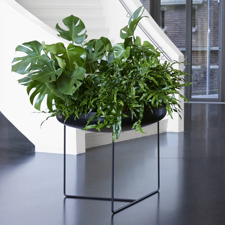 Konstantin Slawinski - Plantbowl, black