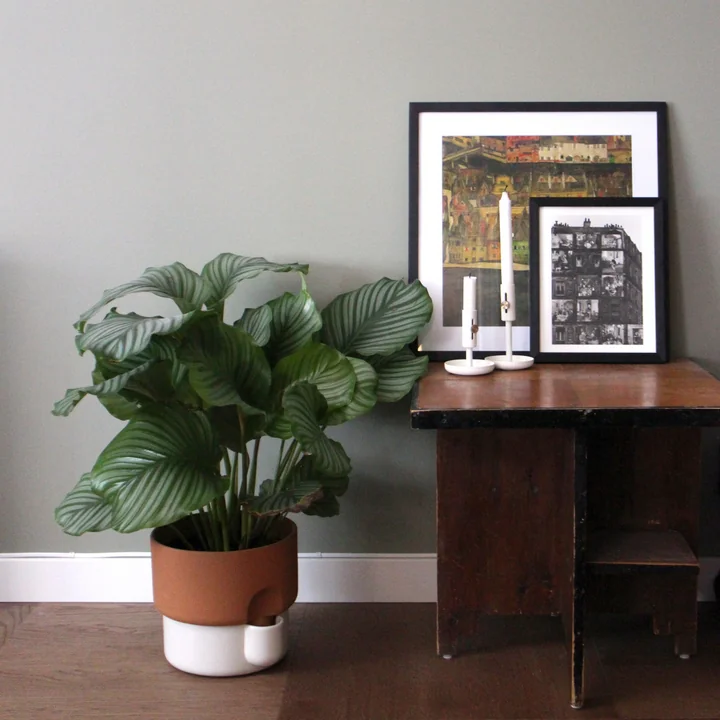 Rudi Wulff Homestory - Plant pot