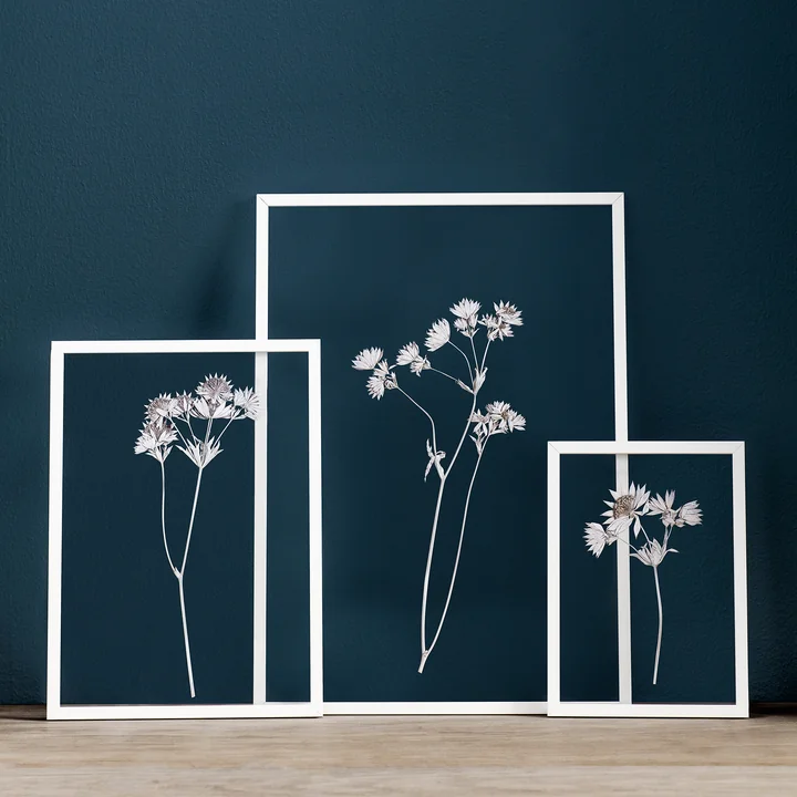 Frame Picture frame from Moebe in white with dried flowers