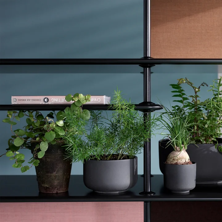 Free shelf module from Montana in black