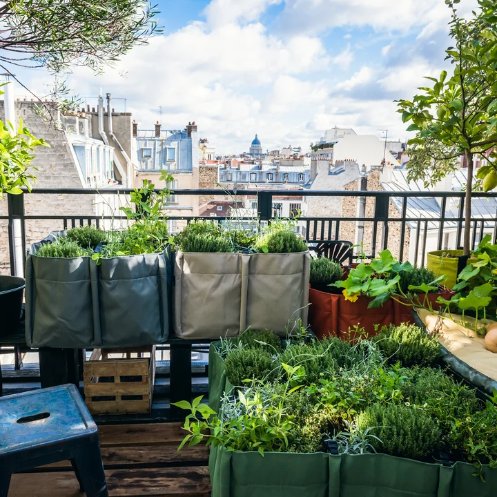 Bacsquare plant bag from Bacsac