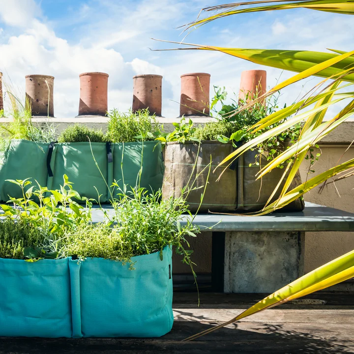 Bacsquare plant bag from Bacsac