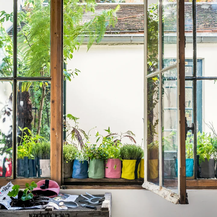 Pot Plant bag from Bacsac