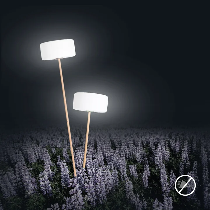 Infographic - Garden lighting