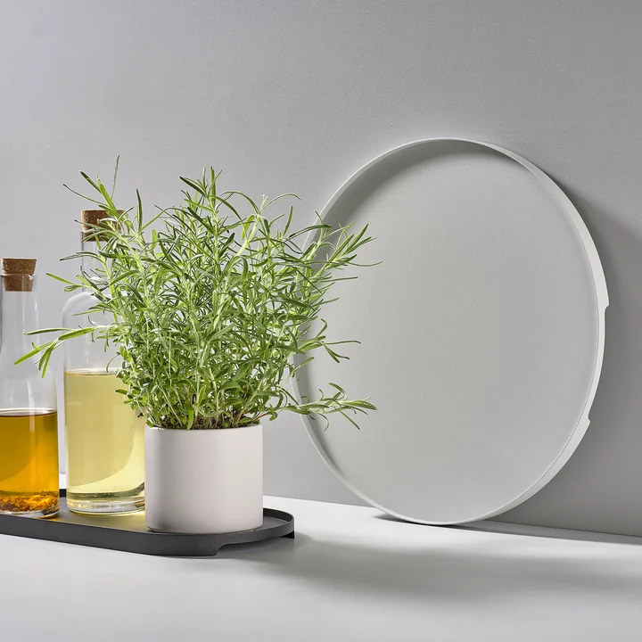 Singles Metal tray from Zone Denmark