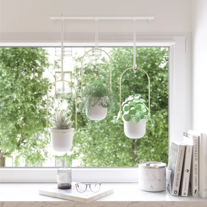 Triflora hanging basket from Umbra in white / brass