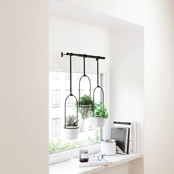 Triflora hanging basket from Umbra in black / white