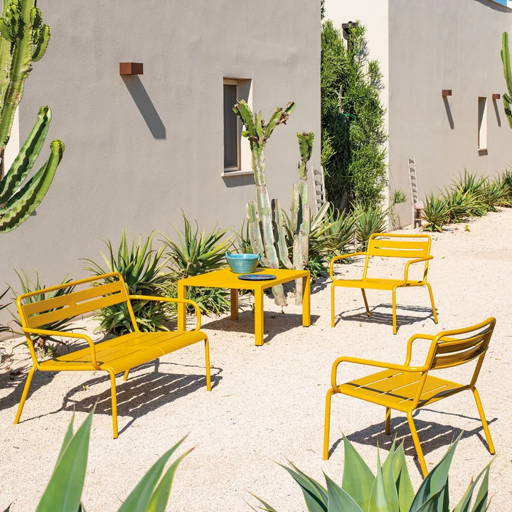 Star Series of Emu in curry yellow