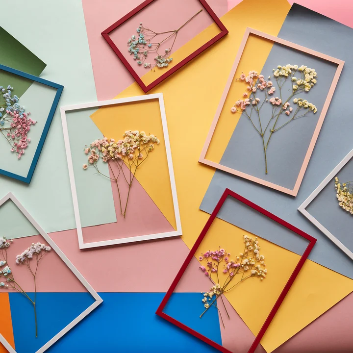 Frame Picture frames from Moebe