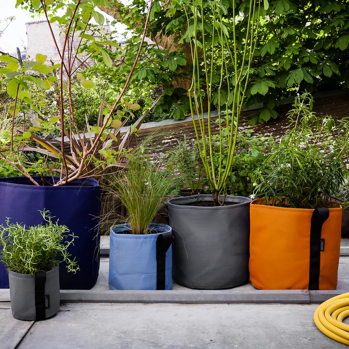 Pot Plant bag from Bacsac
