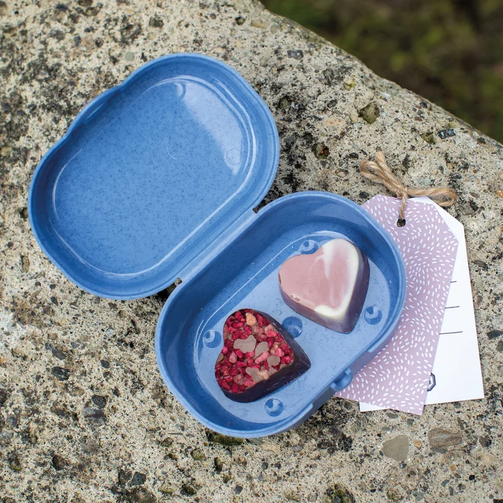 Pascal Mini lunchbox from Koziol in organic blue