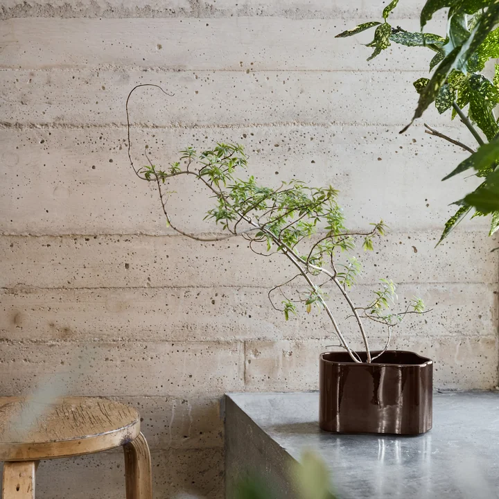 Riihitie planter by Artek in dark brown