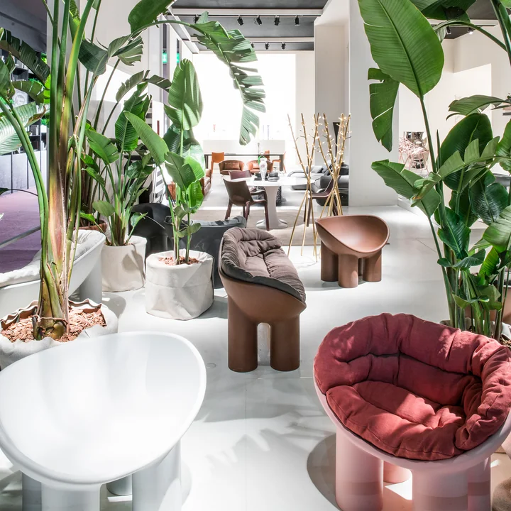 Roly Poly, Sofa and Armchair from Driade in the urban jungle